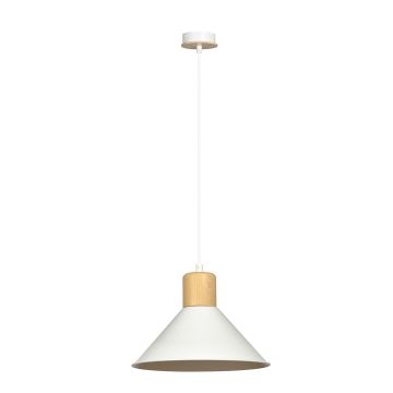 Emibig ROWEN 1045/1 Pendelleuchte 1x15W/E27 IP20
