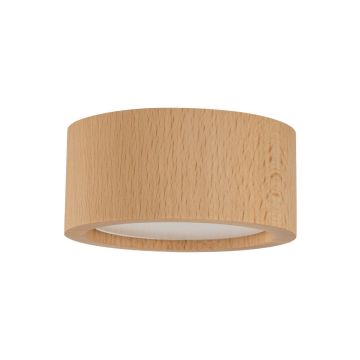 TK Lighting EVE 10123 Aufbau-Downlight 1x11W/GX53 IP20