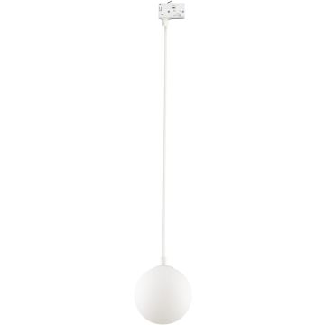 TK Lighting TRACER 3f 11661 Schienenstrahler 1x8W/G9 IP20