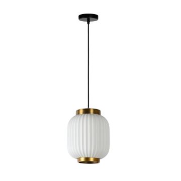 Lucide GOSSE 13435/01/31 Suspension lumineuse 1x40w/e27 ip20