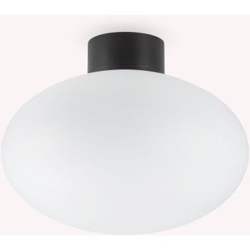 Ideal Lux CLIO 148878 Deckenlampe 1x42W/E27 ip44