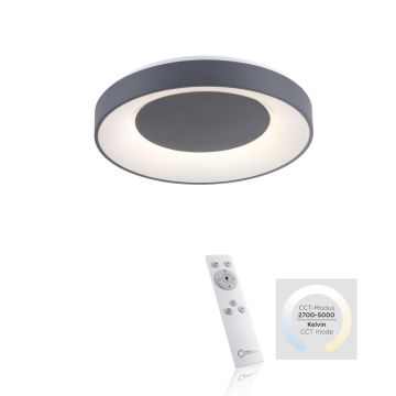 Paul Neuhaus ANIKA 14326-18 Deckenleuchte 1x26,5W/LED 5000K 1450LM IP20