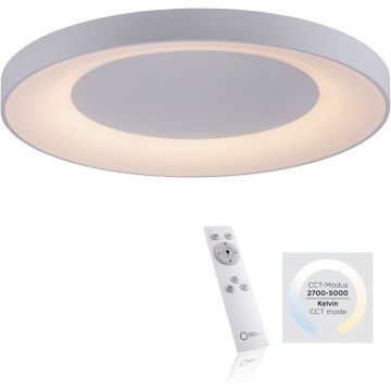 Paul Neuhaus ANIKA 14327-16 Deckenleuchte 1x60W/LED 2700-5000k 6600lm ip20
