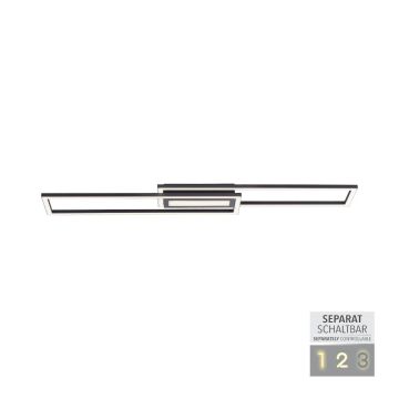 Paul Neuhaus ASMIN 14696-18 Plafonnier 1x45W/LED 3000K 2900LM IP20