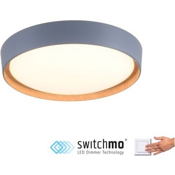 Paul Neuhaus EMILIA 14347-15 Deckenlampe 1x32W/LED 3000k 3400lm ip20