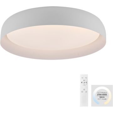 Paul Neuhaus OSKO 14216-16 Lampe de plafond 1x40W/LED 2700-5000k 3850lm ip20