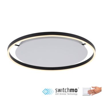 Paul Neuhaus RITUS 15392-13 Deckenleuchte 1x28W/LED 3000K 1100LM IP20