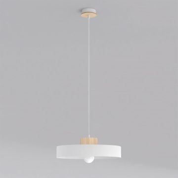 Emibig KIVI 1669/1L Suspension lumineuse 1x15W/E27 IP20