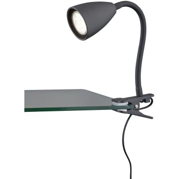 Trio WANDA 202620132 Lampe de bureau avec pince 1x10w/gu10 ip20