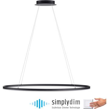 Paul Neuhaus TITUS 2393-13 Pendelleuchte 1x57,5W/LED 3000k 2700lm ip20