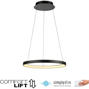 Paul Neuhaus HOOP 2851-18 Suspension lumineuse 1x42W/LED 3000k 5900lm ip20