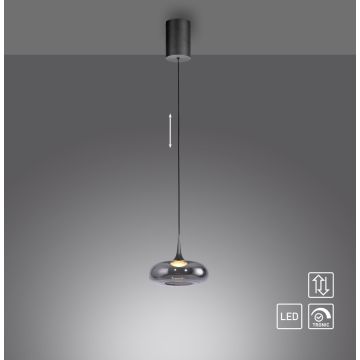 Paul Neuhaus POSH 15692-15 Suspension lumineuse 1x7,4W/LED 3000k 300lm ip20