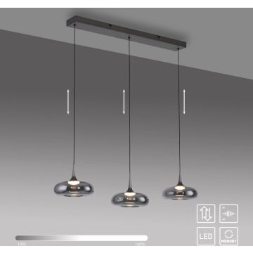 Paul Neuhaus POSH 15693-15 Suspension lumineuse 3x6,3W/LED 3000k 1000lm ip20