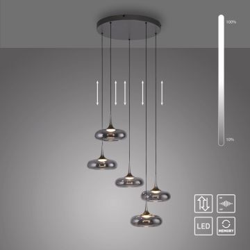Paul Neuhaus POSH 15694-15 Suspension lumineuse 5x6,3W/LED 3000k 1450lm ip20