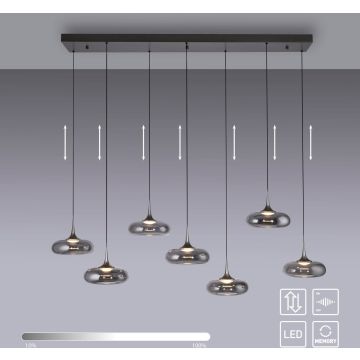 Paul Neuhaus POSH 15695-15 Suspension lumineuse 7x6,3W/LED 3000k 1650lm ip20
