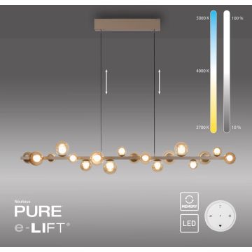 Paul Neuhaus PURE E-POPUP 2558-97 Suspension lumineuse 18x1,8W/LED 2200-5000k 2230lm ip20