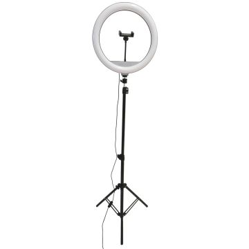 Polux SELFIE 327598 Schreibtischlampe 1x15W/LED 2700K-4000K-6000K 330lm IP20
