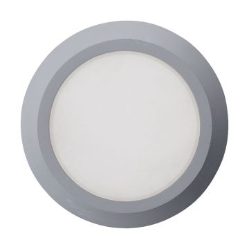 Prezent RADIX I. 48316 Deckenleuchte 1x3W/LED IP65