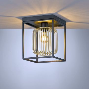 Fischer&Honsel Caydo 21294 Lampe de plafond 1x40W/E27 IP20
