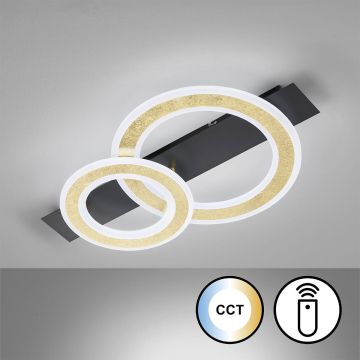 Fischer&Honsel Circle 21433 Plafonnier 1x20W/LED 2700K 3100 lm IP20