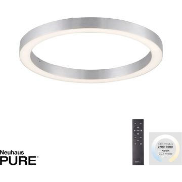 Paul Neuhaus PURE-LINES 6309-95 Deckenlampe 1x30W/LED 2700-5000k 3300lm ip20