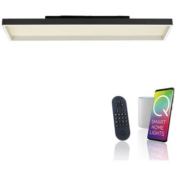 Paul Neuhaus Q-MAGONG 6317-18 Deckenlampe 1x52W/LED 2700-5000k 5800lm ip20