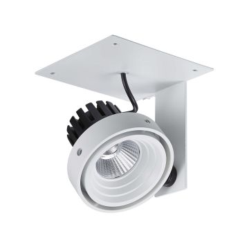 Italux PATRIZIO GL7118-1/1X12W 4000K WH+BL Spot 1x12W/LED 980LM IP20