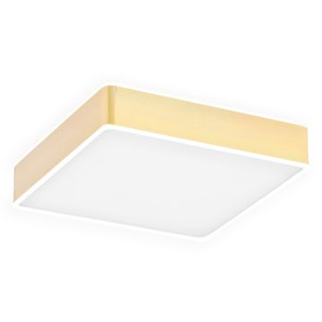 Argon ATLANTIS 4051 Plafonnier 1x32W/LED 3000K 3900LM IP20