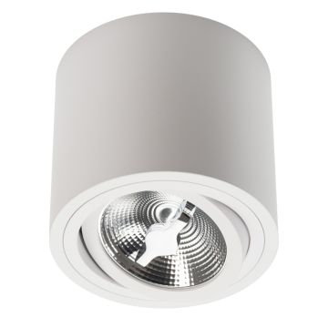 Lumifall CILO LMF.CILOESW Spot en saillie IP20