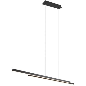 Trio ODIO R37882132 Pendelleuchte 1x22w/led 3000k 2500lm ip20