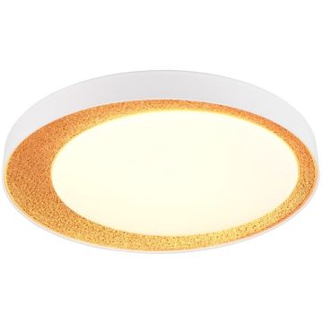 Trio ALETA R64611179 Deckenlampe 1x24w/led 2700-6500k 2500lm ip20