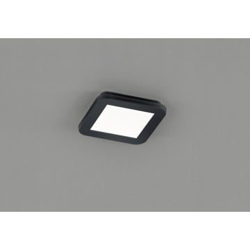 Trio CAMILLUS R62931032 Deckenlampe 1x10w/led 3000k 850lm ip44