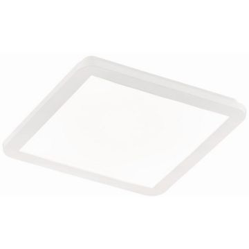 Trio CAMILLUS R62931801 LED-Panel 1x18w/led 3000k 1650lm ip44