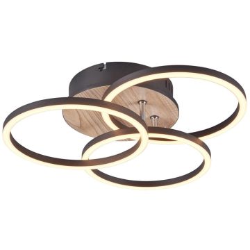 Trio CIRCLE R62823135 Deckenlampe 1x27w/led 2700-6000K 3200lm ip20