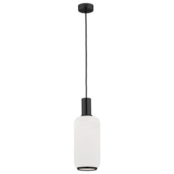 Argon SAGUNTO 8563 Suspension 1x15W/E27 IP20