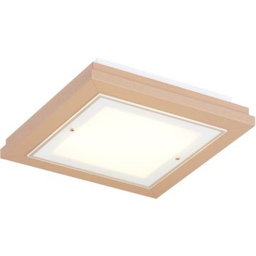 Argon TABOR 1871 Lampe de plafond 4x15W/E27 ip20