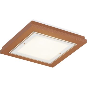Argon TABOR 7268 Lampe de plafond 2x15W/E27 ip20