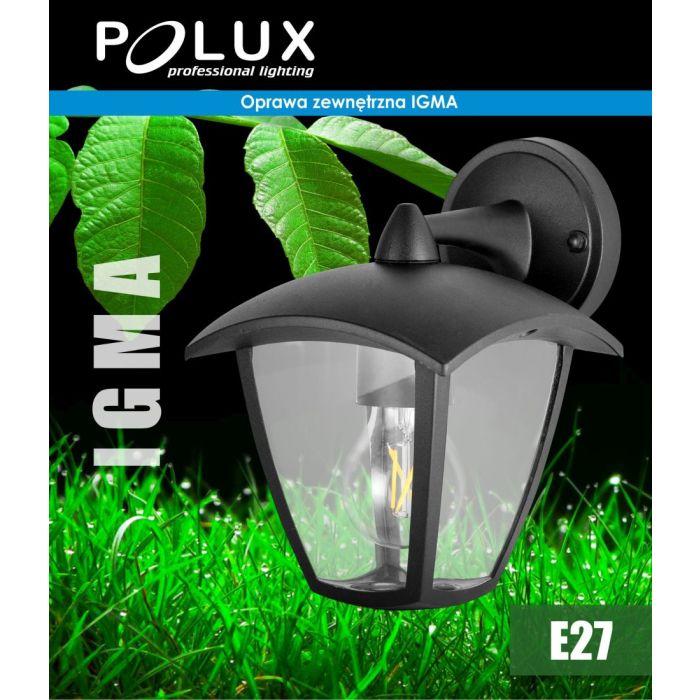 Polux-IGMA-311870-POL311870