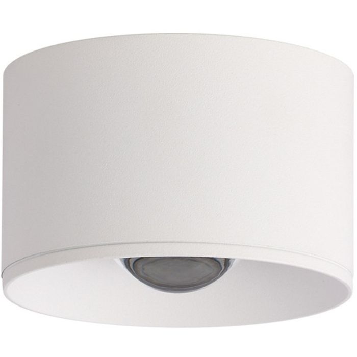 Zambelis-CEILING SPOT-S134-ZAMS134